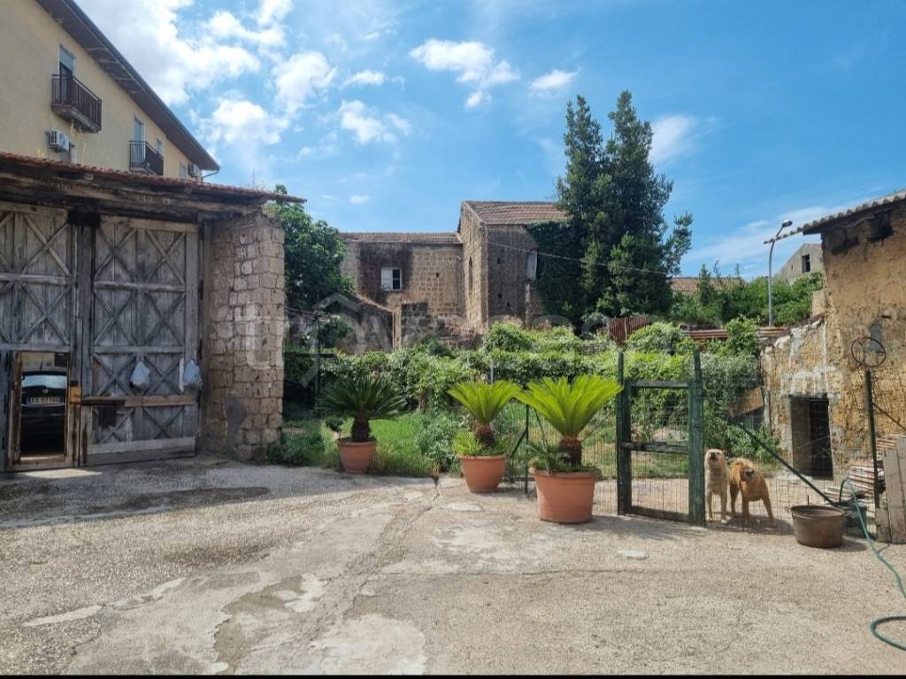 immagine annuncio 2 di 3