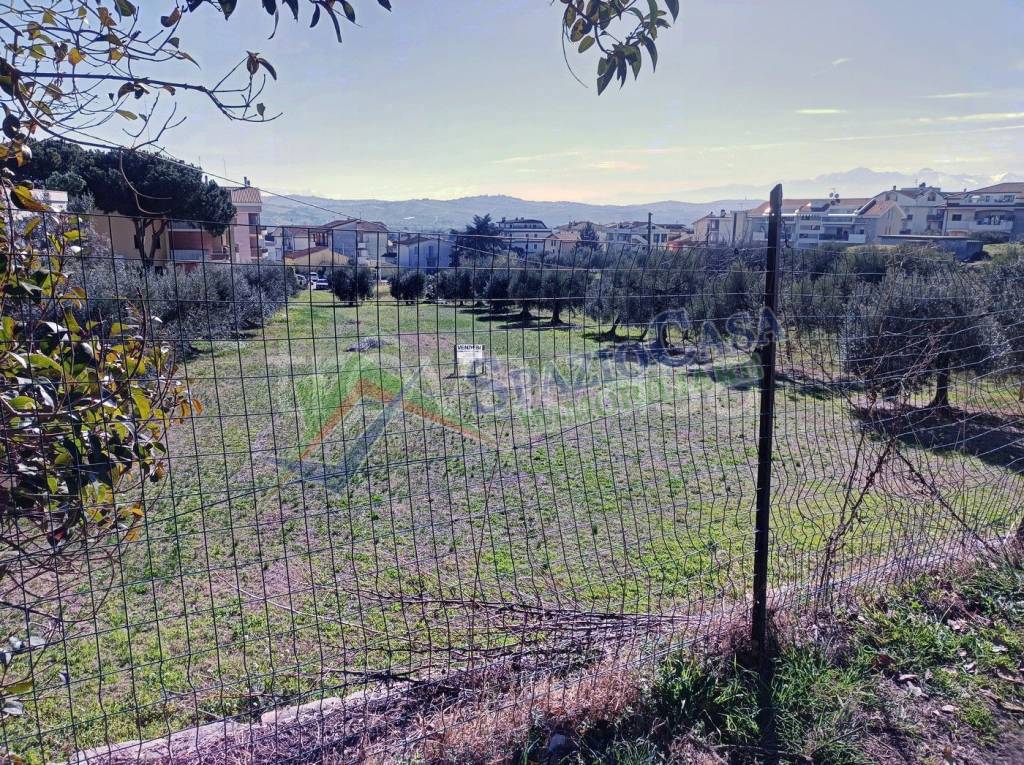 immagine annuncio 2 di 14