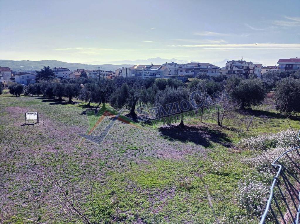 immagine annuncio 3 di 14