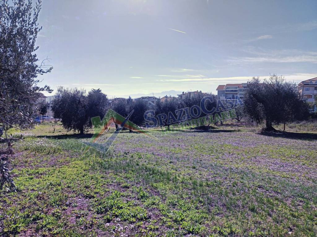 immagine annuncio 7 di 14