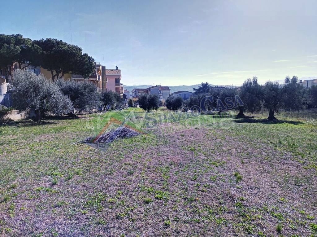 immagine annuncio 8 di 14