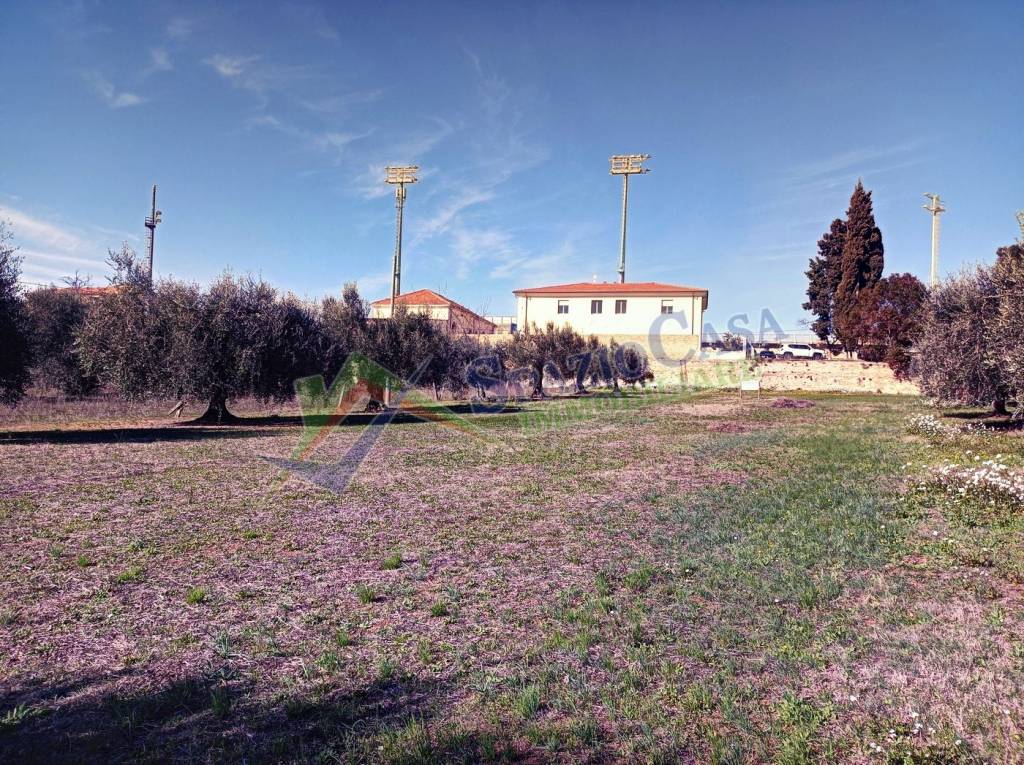 immagine annuncio 11 di 14