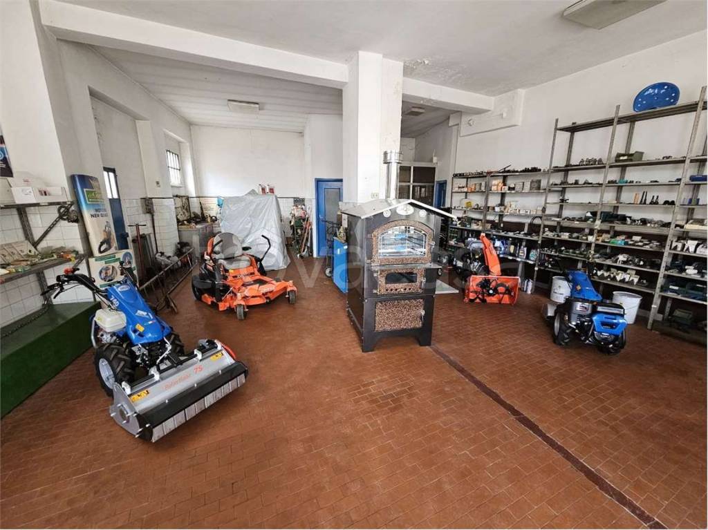 immagine annuncio 2 di 8