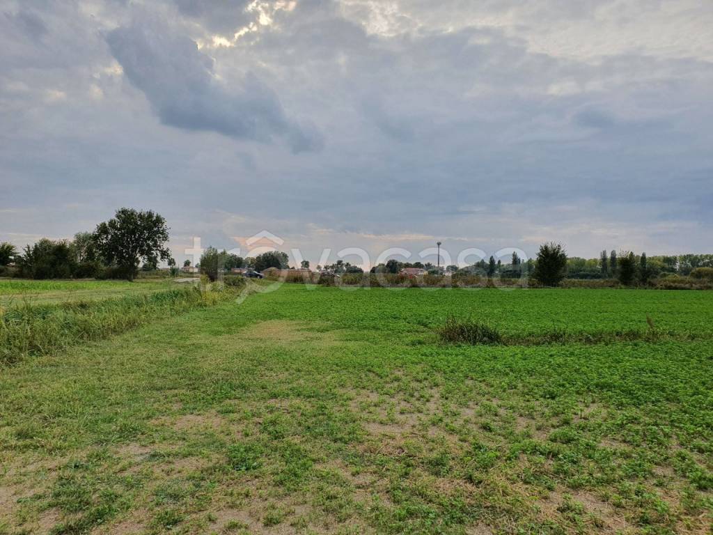 Terreno Agricolo in vendita a Ferrara via Aurelio Zamboni