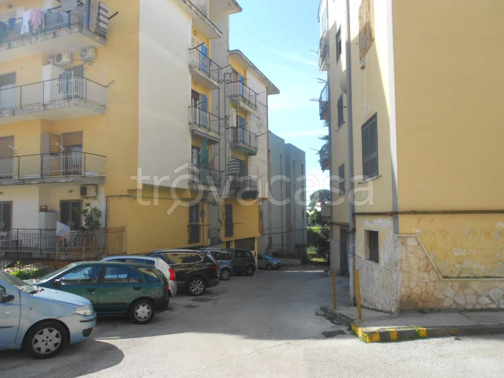 immagine annuncio 3 di 7