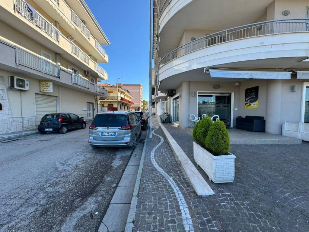 immagine annuncio 11 di 12