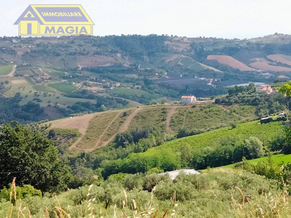 immagine annuncio 2 di 7