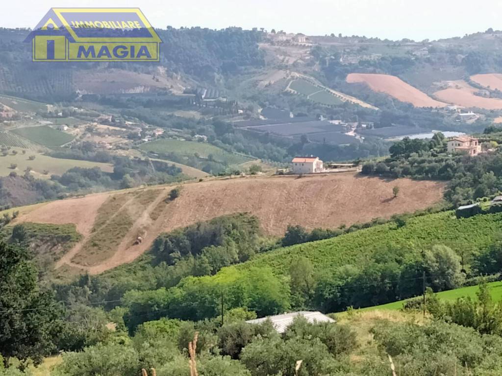 immagine annuncio 3 di 7