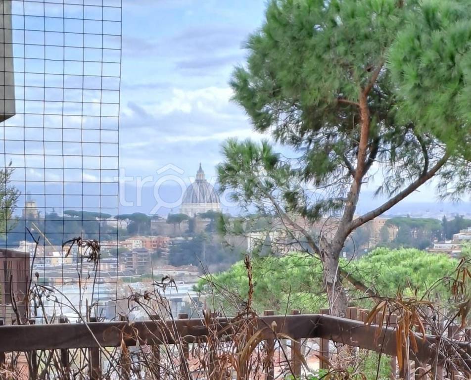 Appartamento in in vendita da privato a Roma via Francesco Schupfer, 93