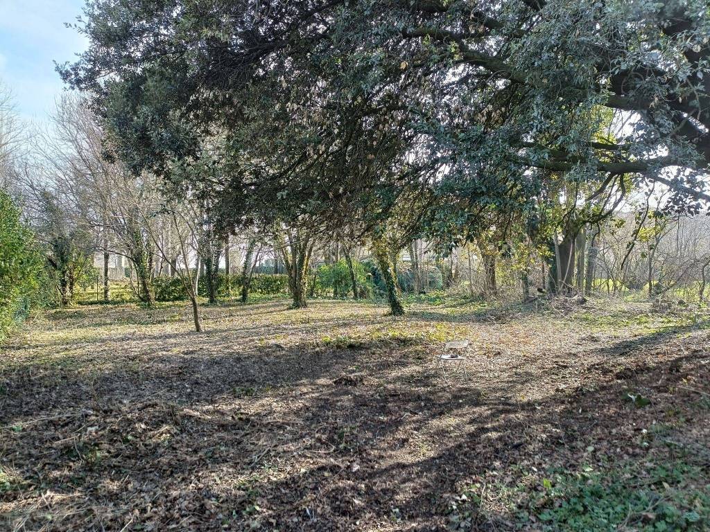 Terreno Agricolo in affitto a Castel San Pietro Terme via Bastiana, 5041C