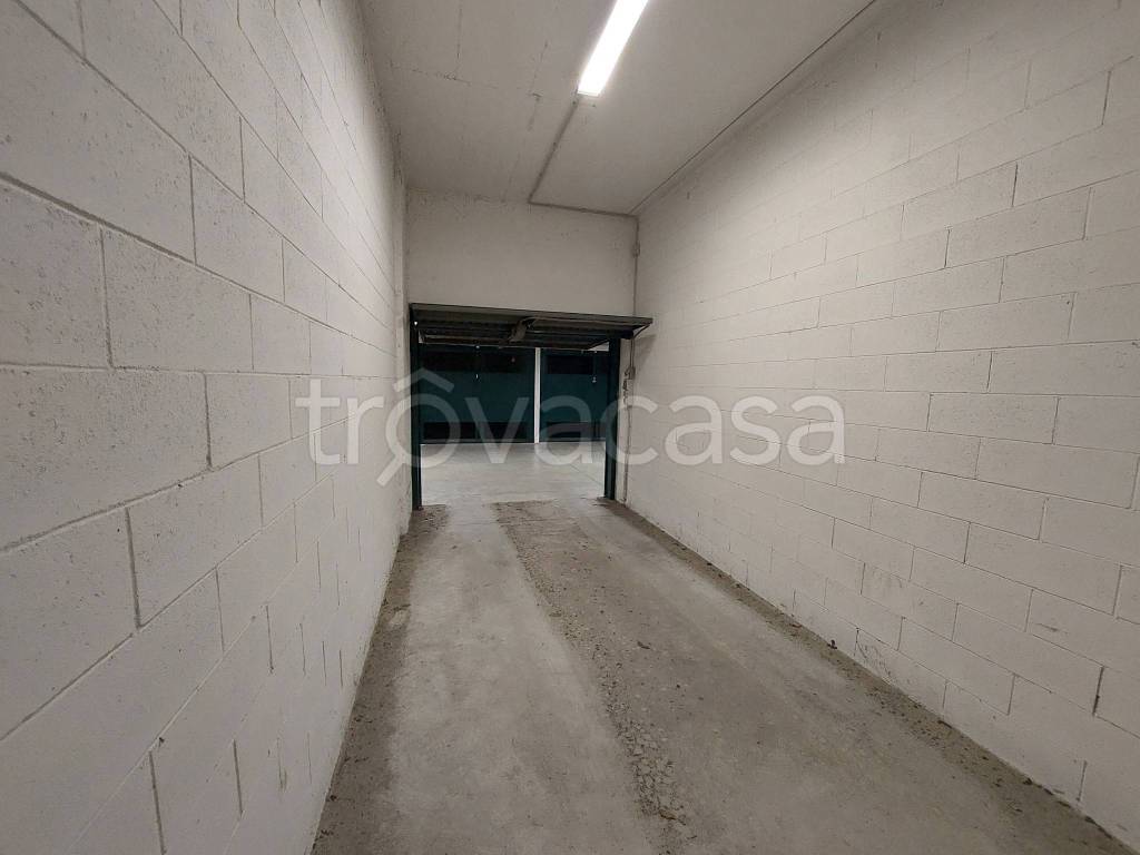 immagine annuncio 8 di 12