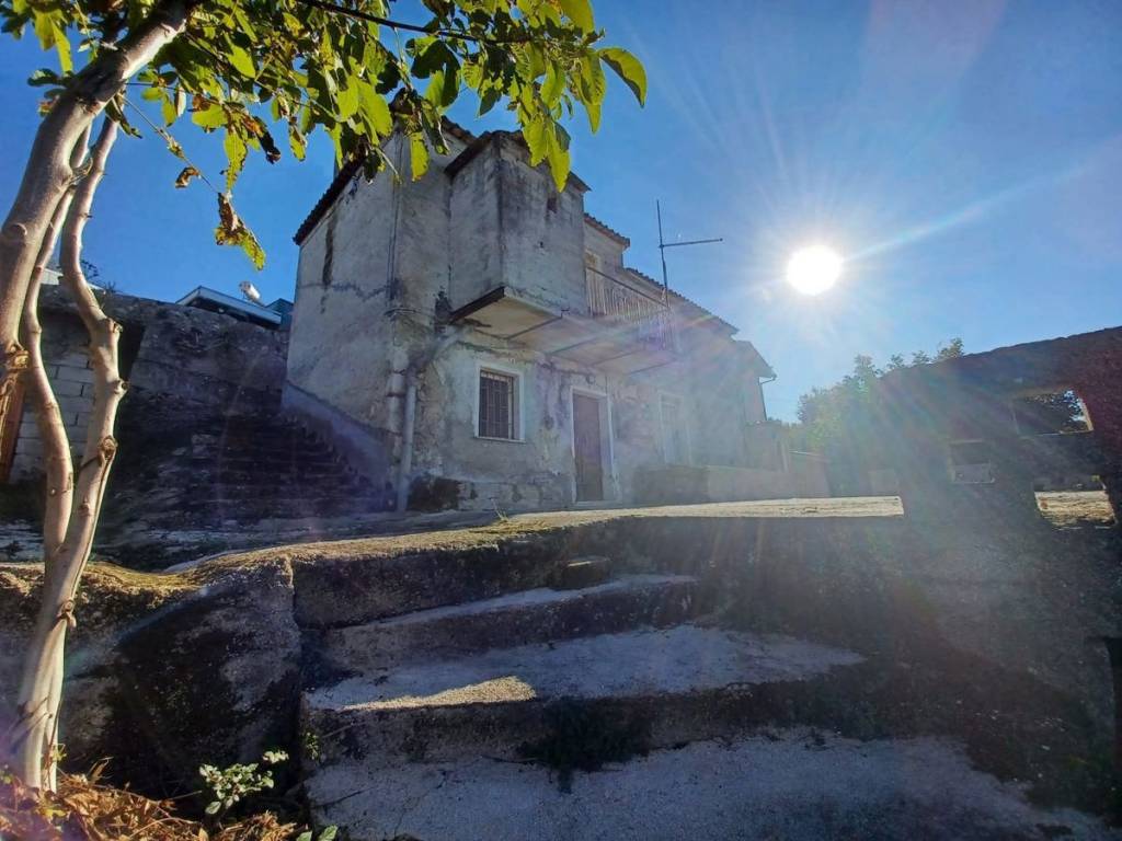 immagine annuncio 2 di 14