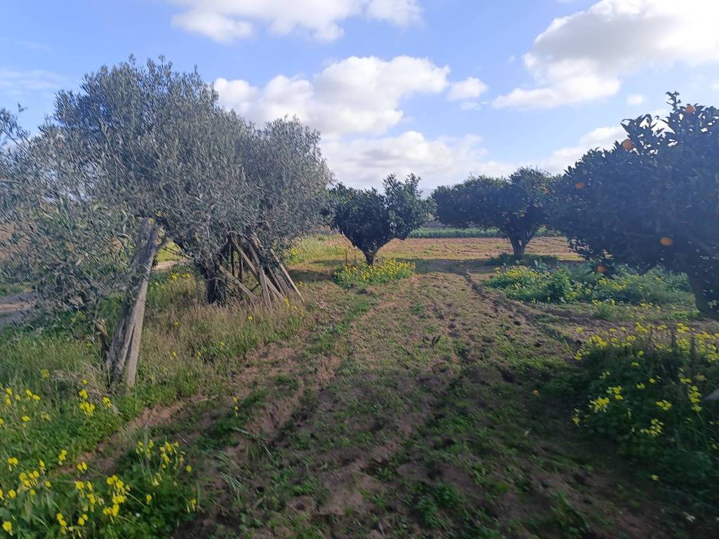 immagine annuncio 1 di 6