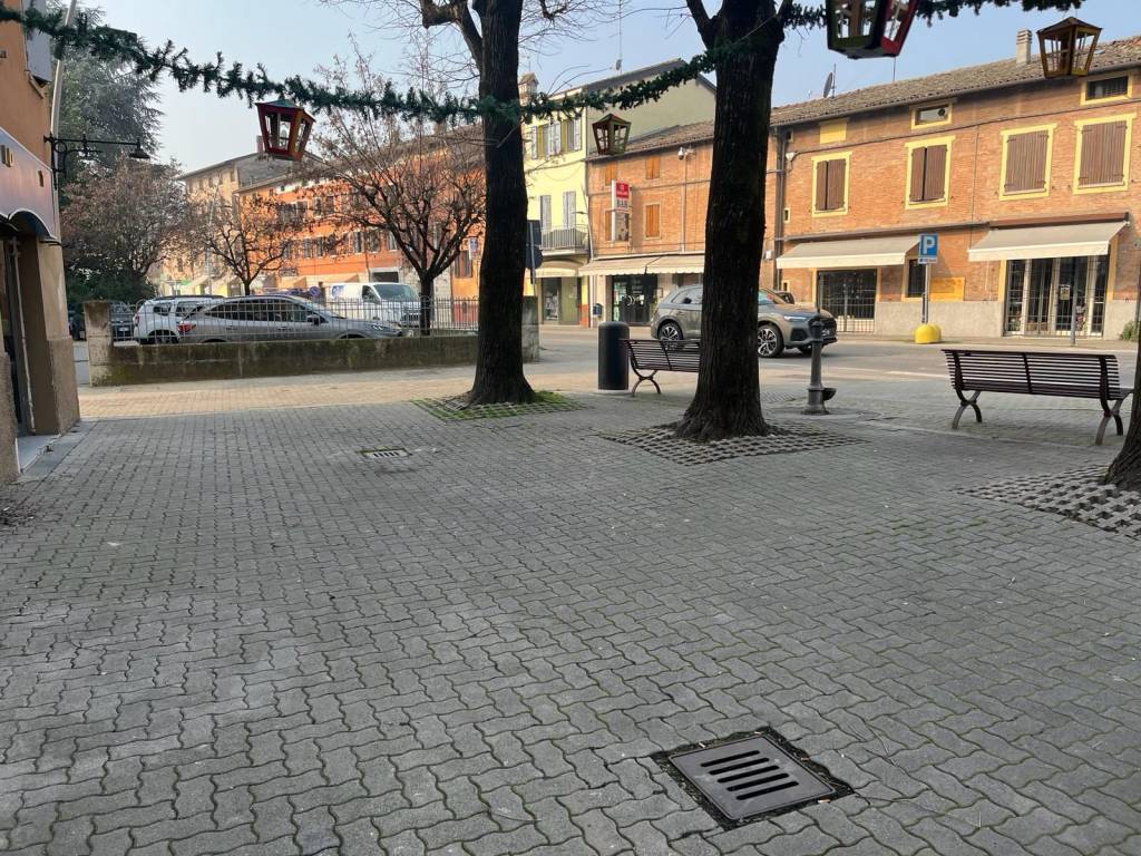 Negozio in affitto a Castelnuovo Rangone via Ludovico Ariosto, 2
