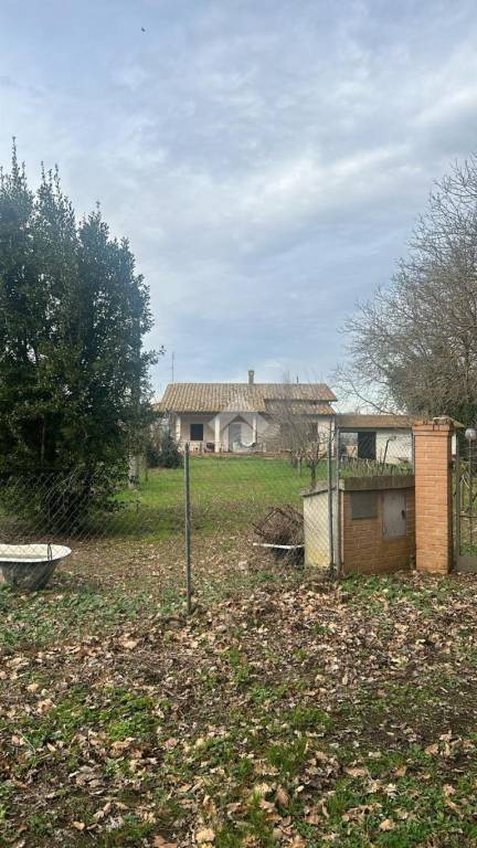 Villa in vendita a Torgiano via signoria
