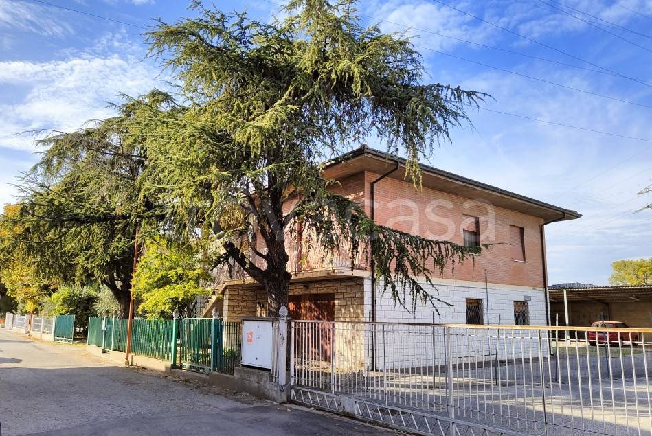 Appartamento in vendita a Cesena via Premuda