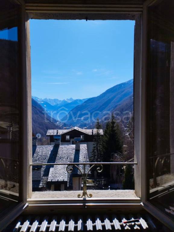 immagine annuncio 4 di 14