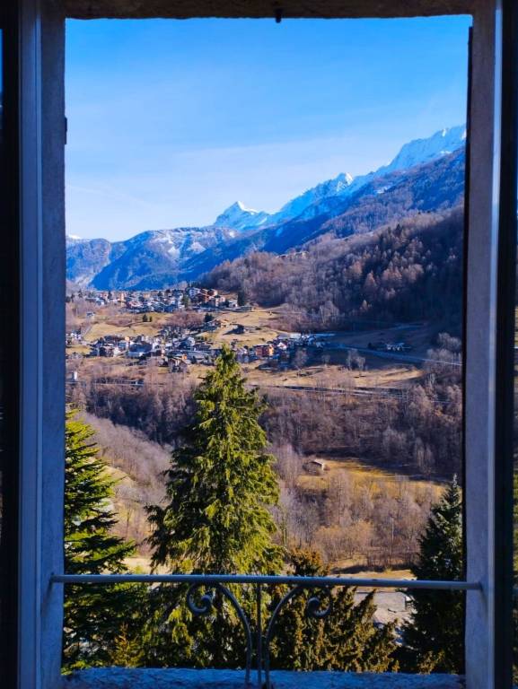 immagine annuncio 11 di 14