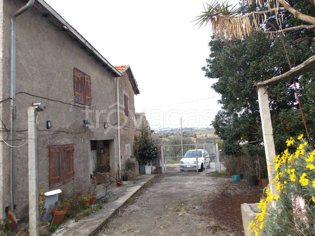 immagine annuncio 3 di 12
