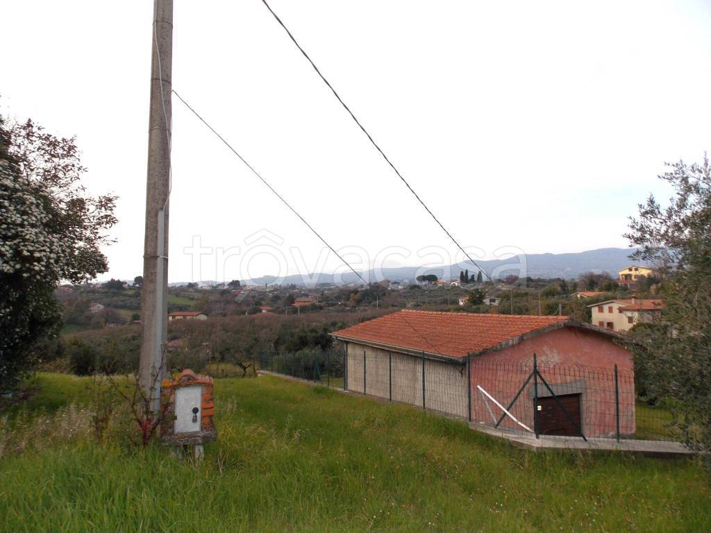 immagine annuncio 6 di 12