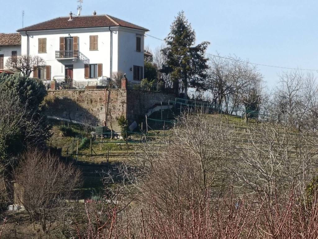 immagine annuncio 13 di 14