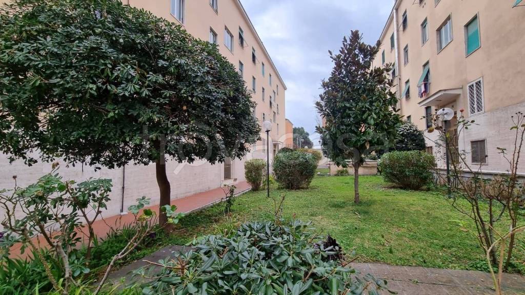 Appartamento in affitto a Roma via Tonale