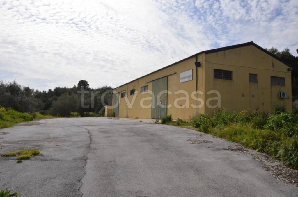 Capannone Industriale in vendita a Noto contrada Portelle s.n.c