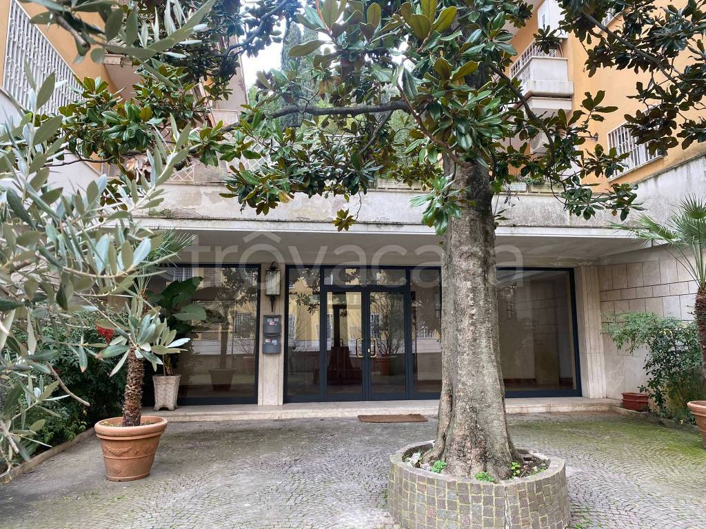 Appartamento in vendita a Roma viale Tito Livio