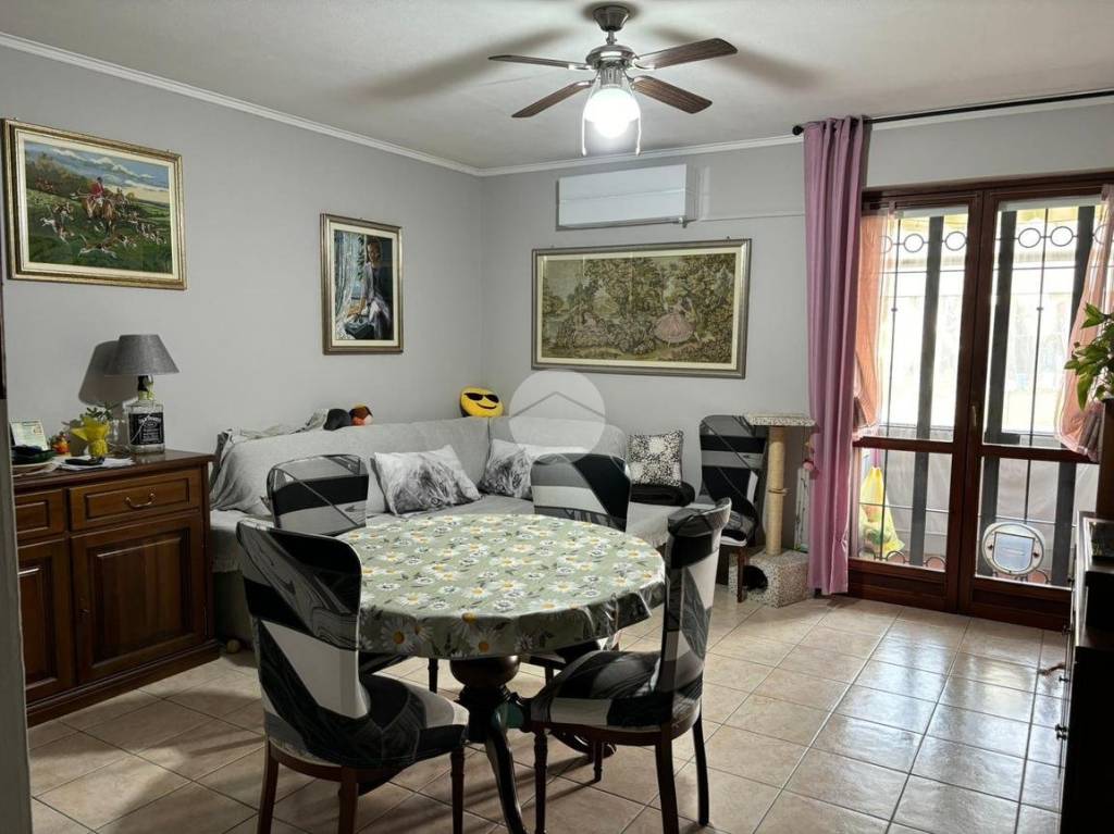 immagine annuncio 9 di 12