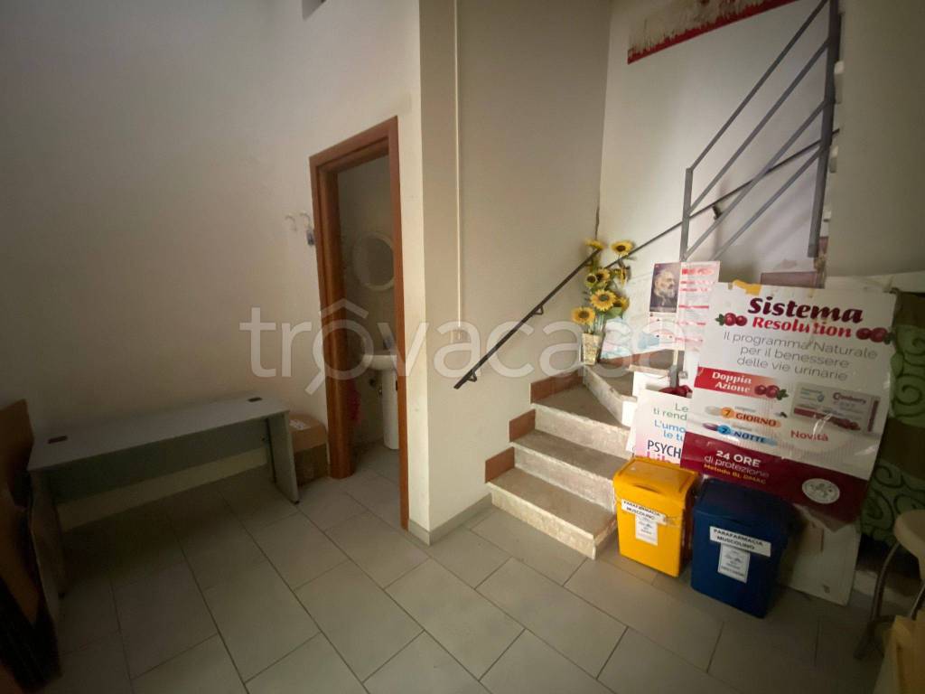 immagine annuncio 5 di 14