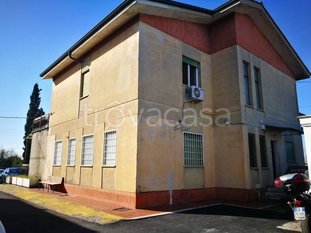immagine annuncio 11 di 15