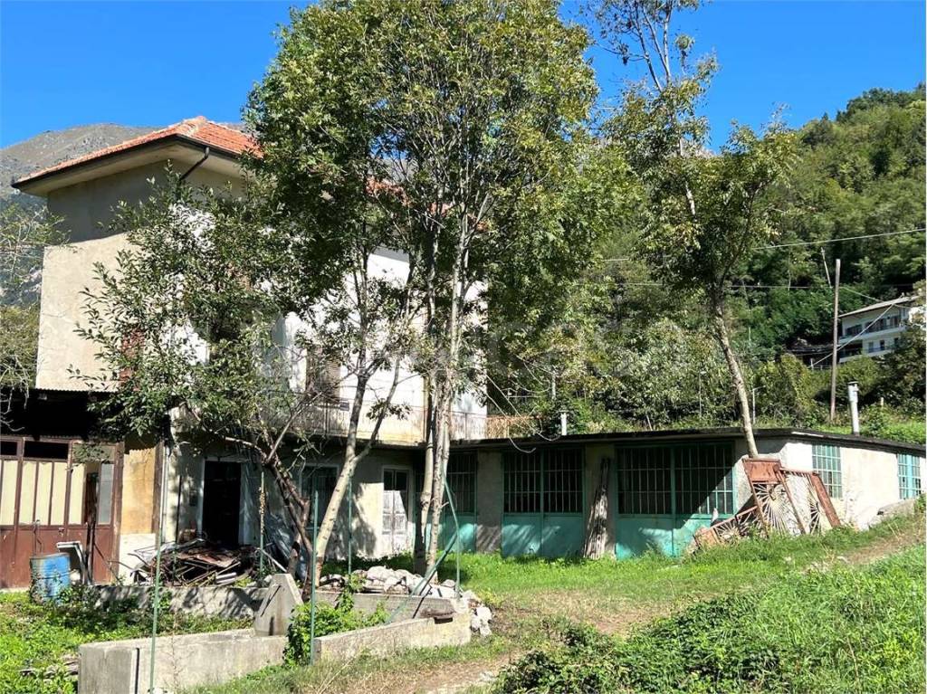 immagine annuncio 3 di 6