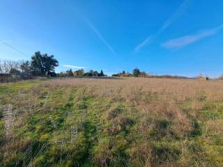 Terreno agricolo in vendita a bassano romano 