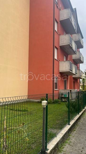 immagine annuncio 7 di 14