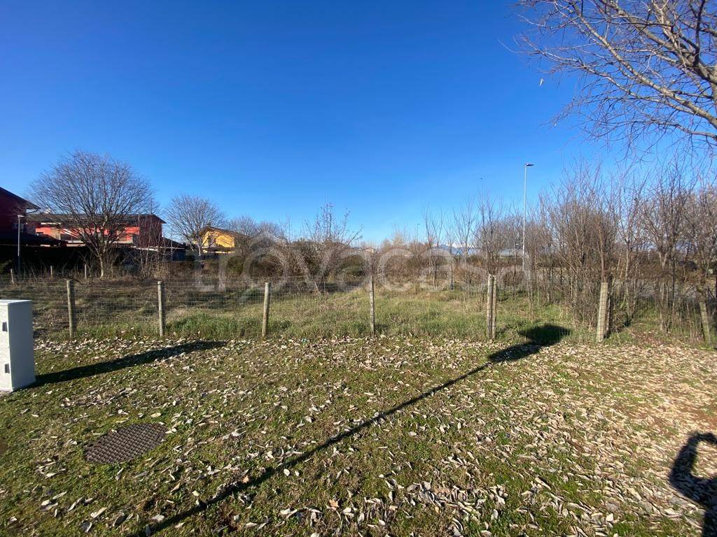 immagine annuncio 8 di 14