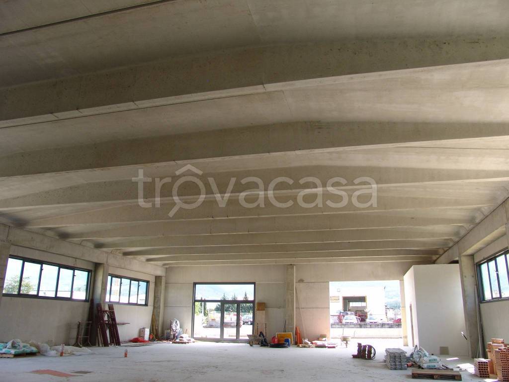 immagine annuncio 2 di 7