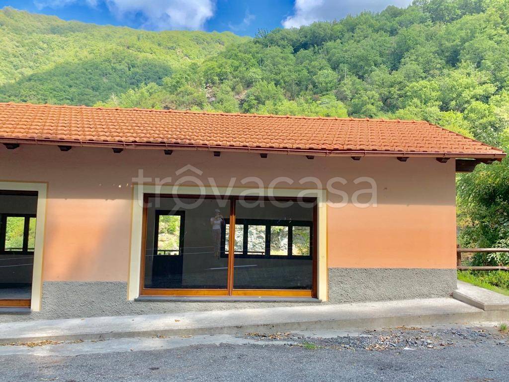 immagine annuncio 2 di 7