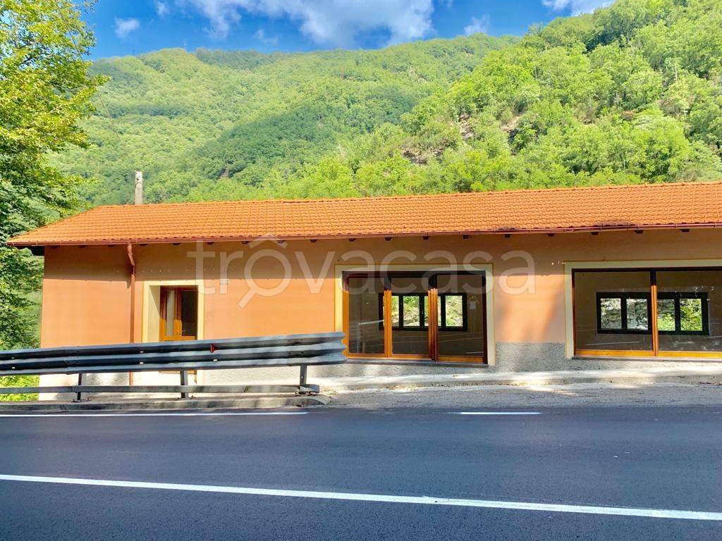 immagine annuncio 5 di 7