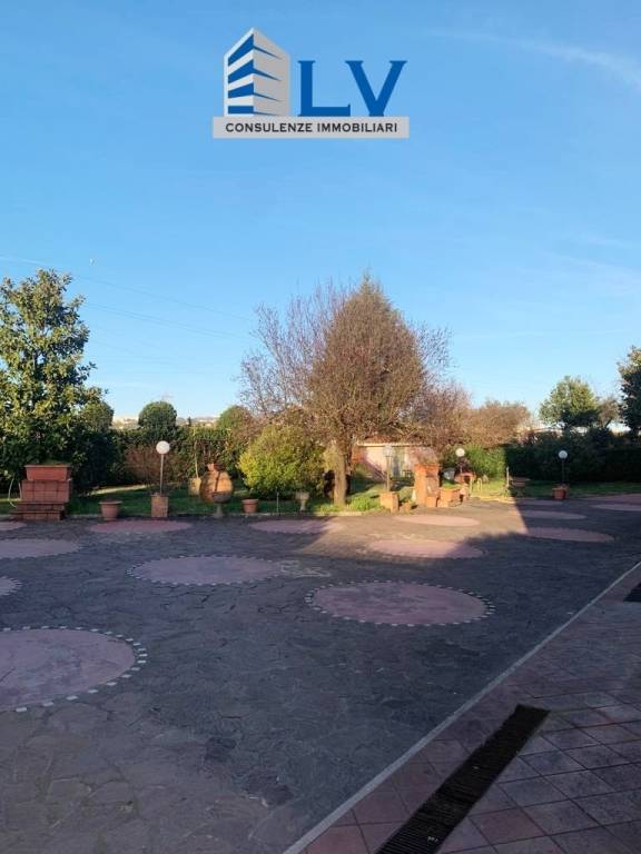 immagine annuncio 11 di 13