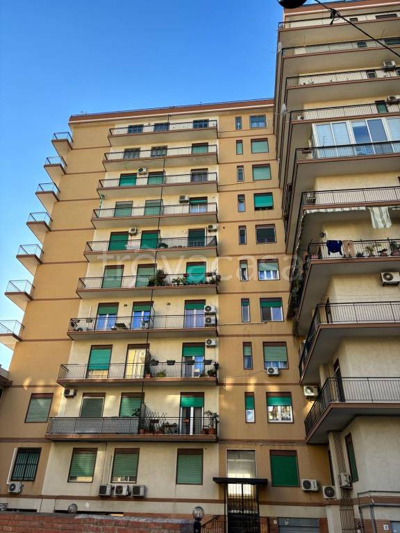 Appartamento in in affitto da privato a Catania via Cesare Vivante, 69