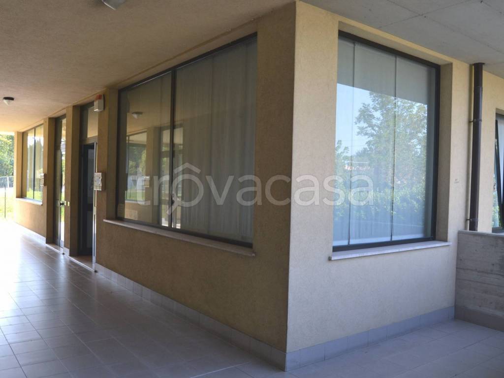 immagine annuncio 4 di 8