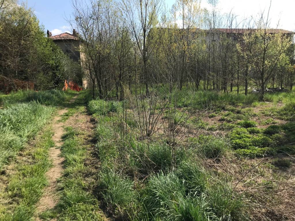 immagine annuncio 7 di 10