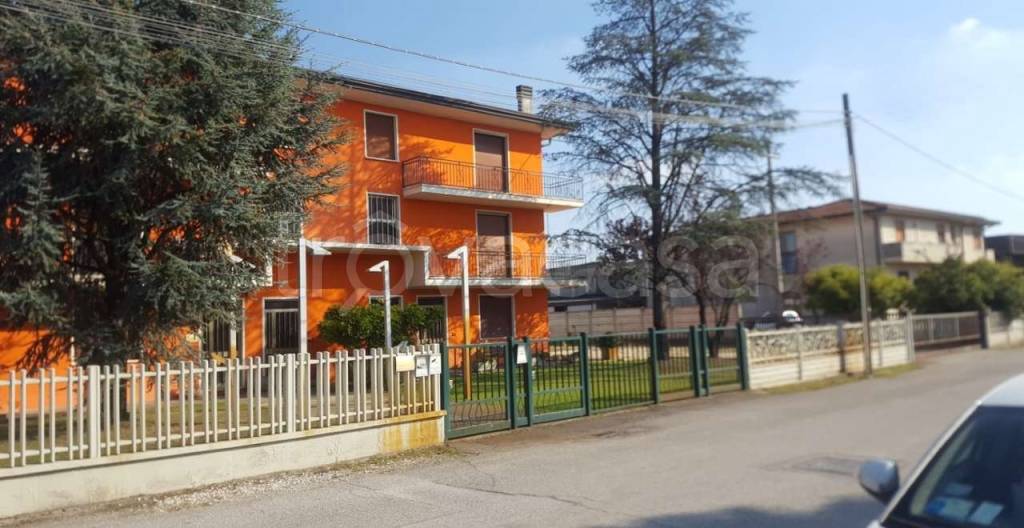 immagine annuncio 1 di 11
