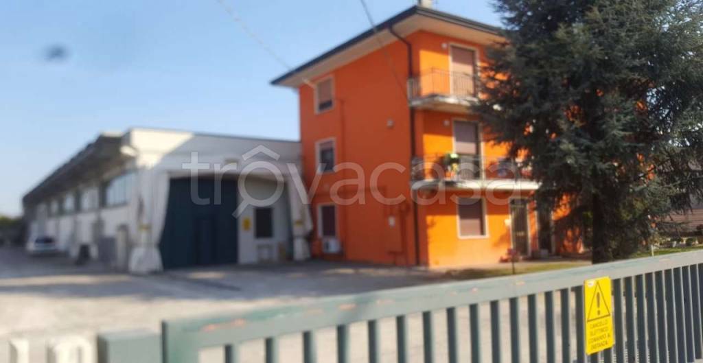 immagine annuncio 2 di 11