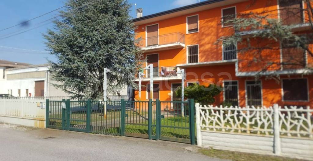 immagine annuncio 3 di 11