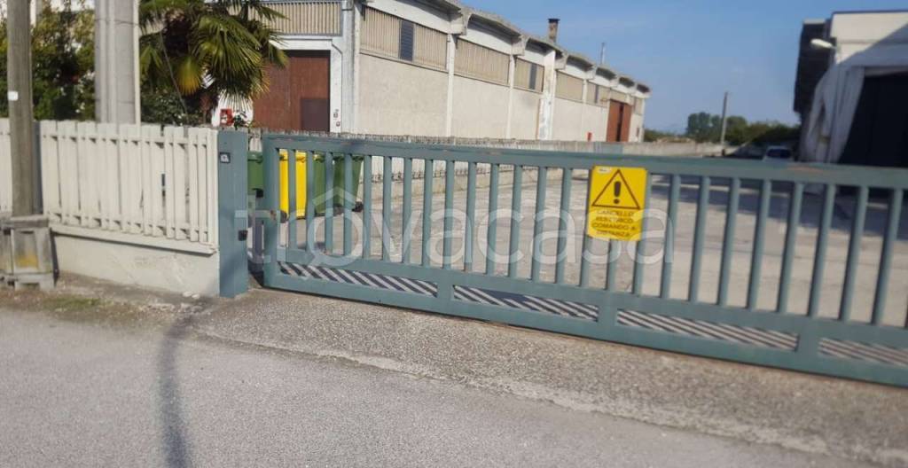 immagine annuncio 5 di 11