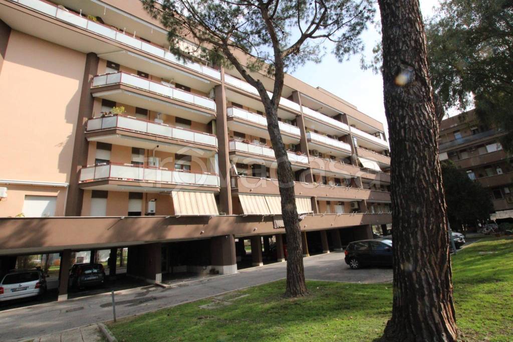 Appartamento in vendita a Roma via Vincenzo Petra, 141