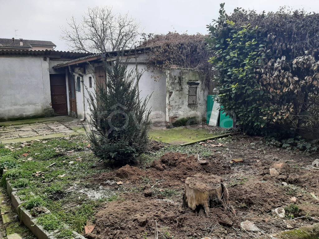 immagine annuncio 4 di 13