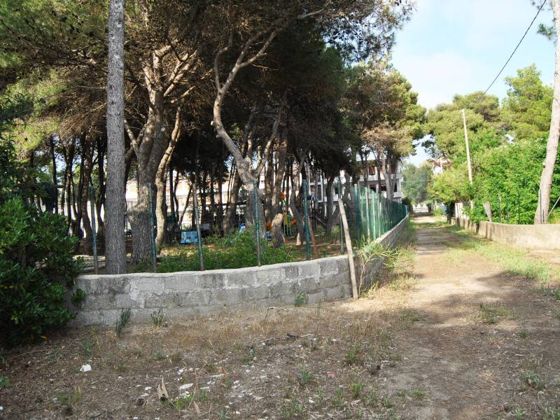 immagine annuncio 9 di 13