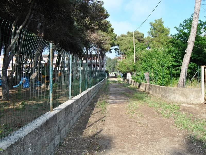 immagine annuncio 10 di 13